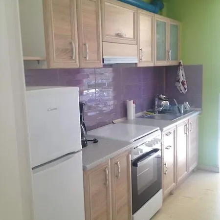 Comfy Flat Near The Apartment *